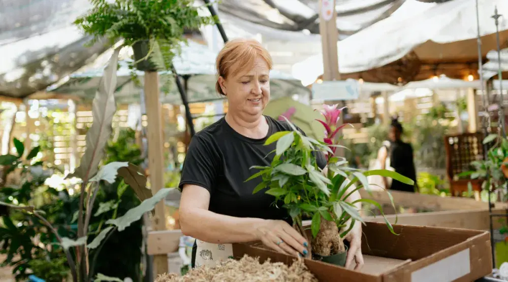 A florist in Montana moves a plant at a greenhouse. Montana is a great place for starting a business. 