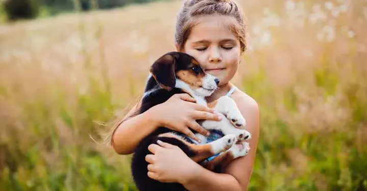 Little girl with closed eyes blissfully holding a puppy