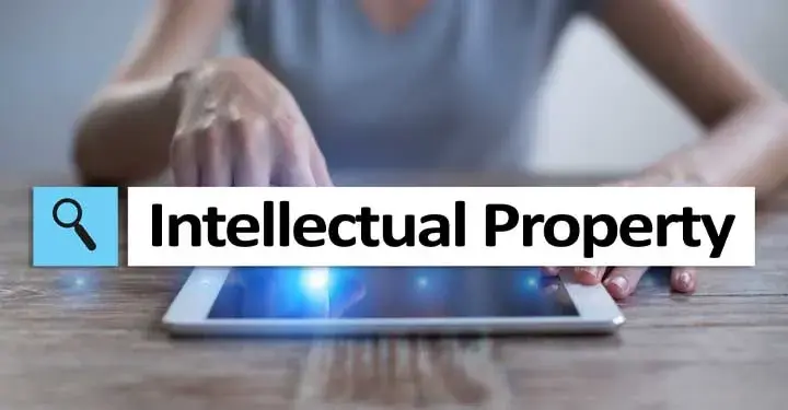 An Overview of Intellectual Property Rights 