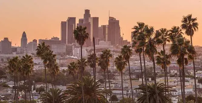 Palm trees stand in front of the Los Angeles skyline in the distance. Filing a DBA <a href=